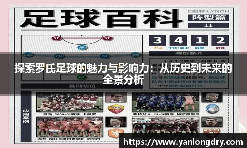 探索罗氏足球的魅力与影响力：从历史到未来的全景分析